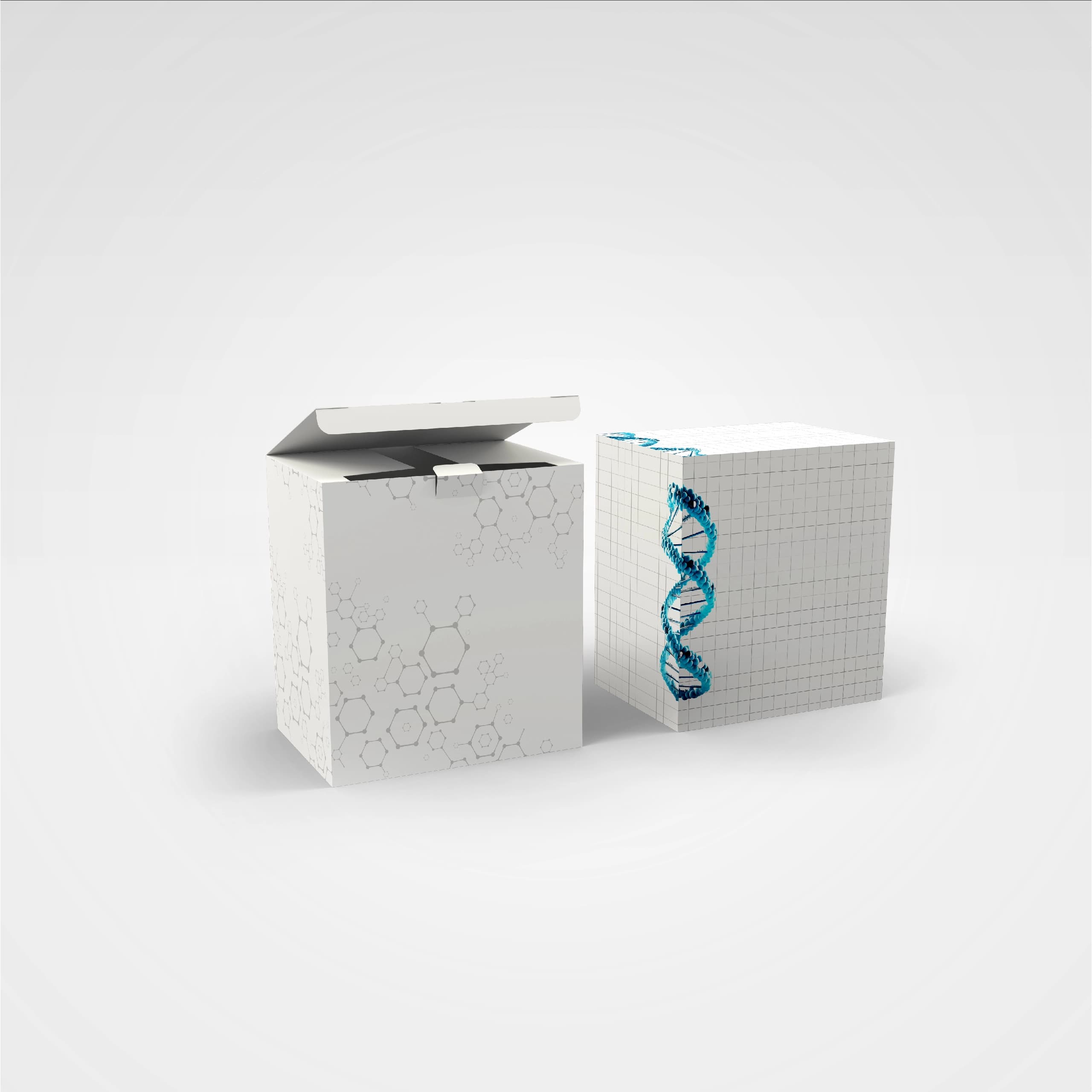 Gıda Takviye Kutusu